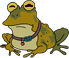 Hypno Crapaud